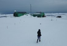 До Київського марафону Незламності долучилися навіть на Антарктиді