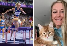 Анна Рижикова прихистила кота з притулку для тварин